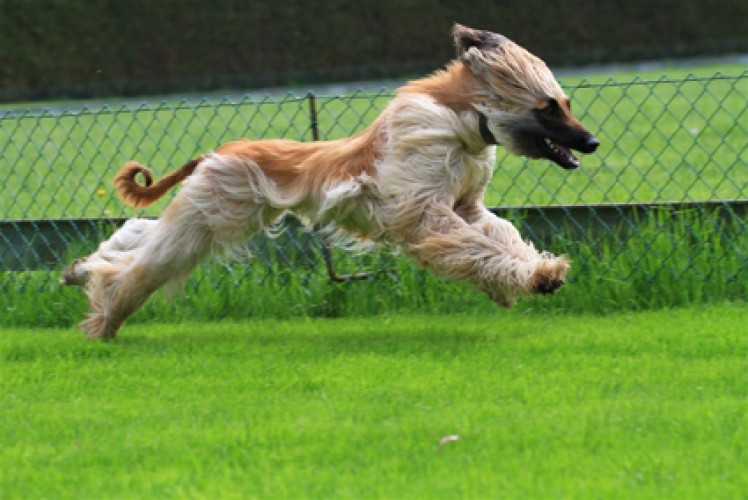 Foto: Hunziker