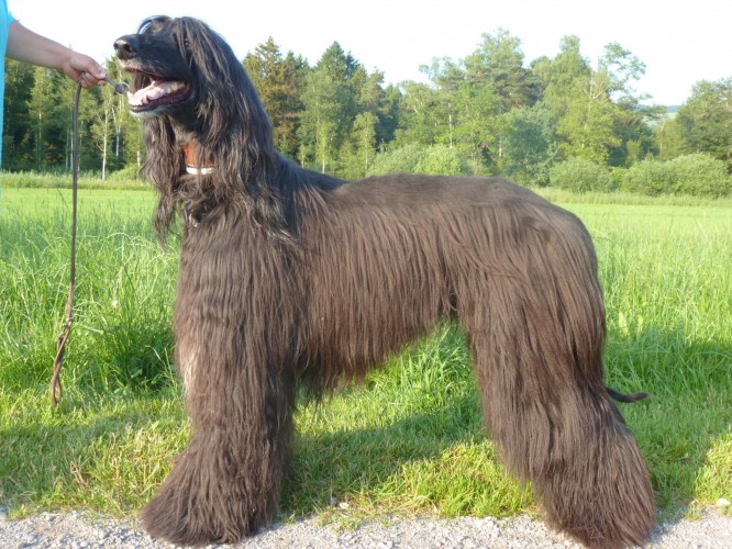 Foto: Hunziker