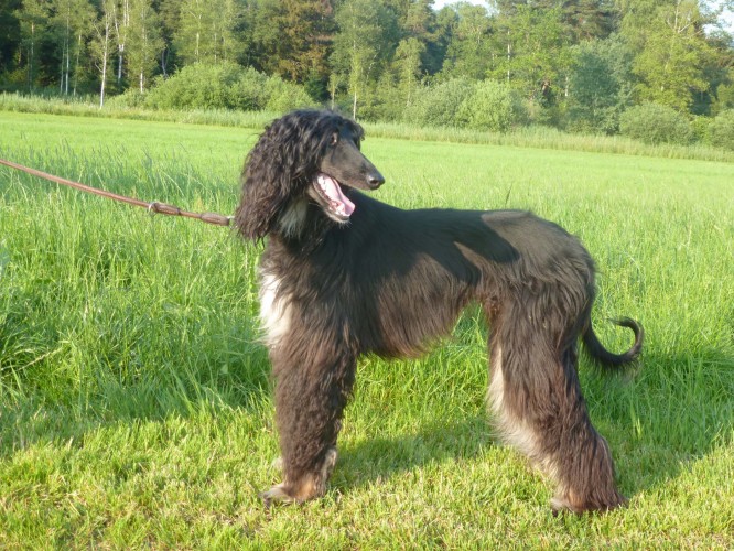 Foto: Hunziker