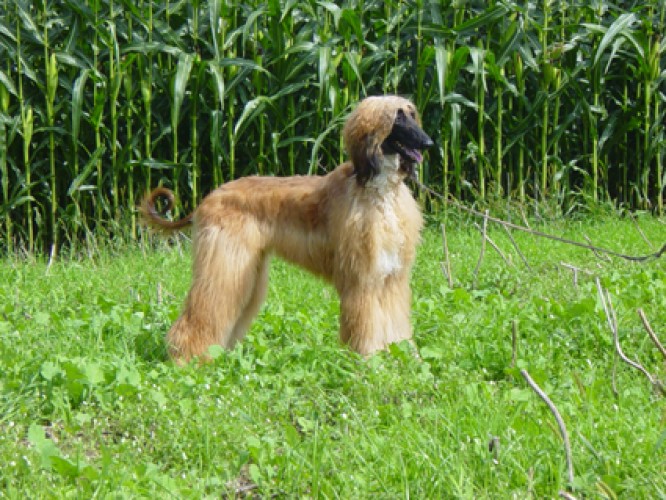 Foto: Hunziker