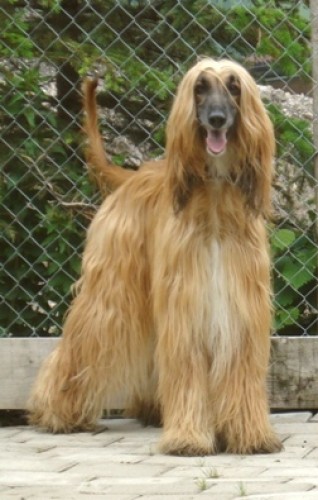Foto: Hunziker